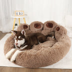 Dog Sofa and Bed